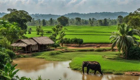 Cambodia Biodiversity Animal And Plant Species And What Is Under Threat