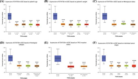 Biocell Free Full Text Identification Of Stat B As A Biomarker For