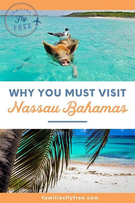 17 Unforgettable Things To Do In Nassau Bahamas 2023 Artofit