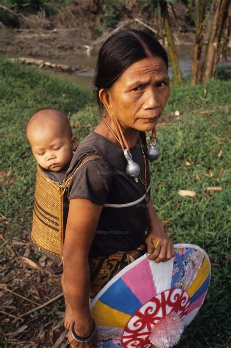 177 best images about Borneo photos on Pinterest | Rainforest people ...