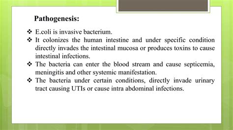 E Coli Ppt