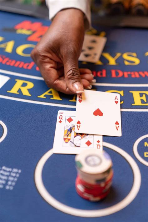 Atlantis bucket list the essential things to do at atlantis bahamas