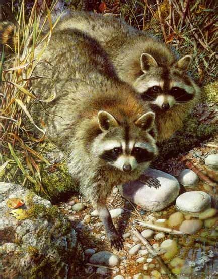 520 Art Robert Bateman ideas | wildlife art, wildlife artists, art