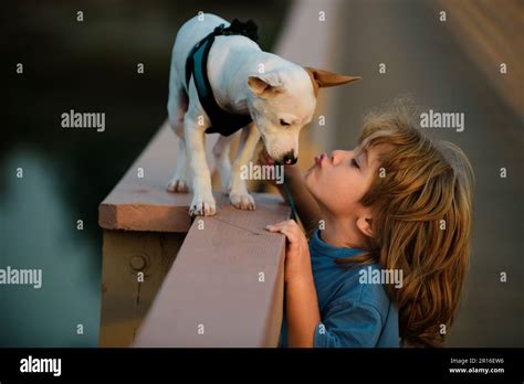 Cute child kissing puppy. Puppies dod playing Stock Photo - Alamy