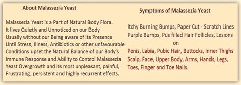 Malassezia Yeast ~ My Story * ~: Malassezia Yeast Lesion Stages - Types ...