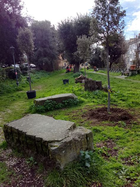 Albano Laziale Lavori Per La Piantumazione Di Nuovi Alberi