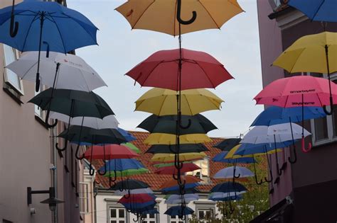 Free Images Sea Flower Wind Umbrella Colourful Color Colorful