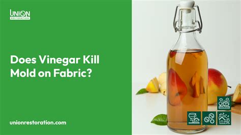 Does Vinegar Kill Mold on Fabric?