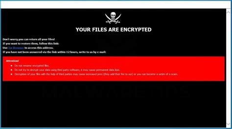 Remove Your Files Are Encrypted Ransomware Virus [guide]