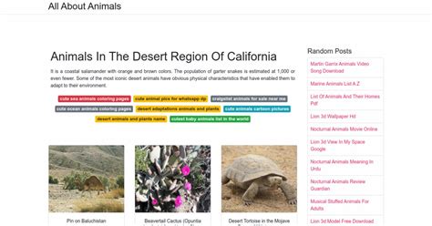 Animals In The Desert Region Of California