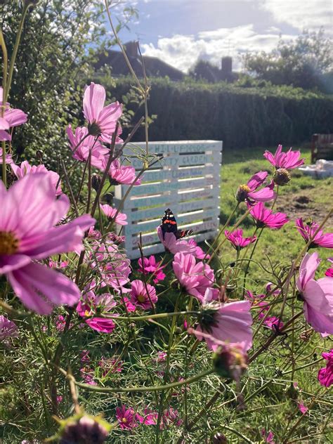 An essential guide to services within the bs16 1ej zone 32