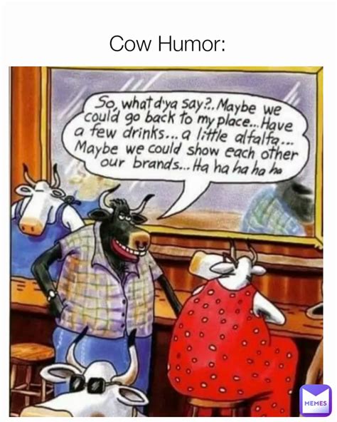 Cow Humor: | @Curmudgeon | Memes