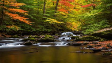 Sweet Run State Park Explore Virginia S Natural Gem Verdant Traveler