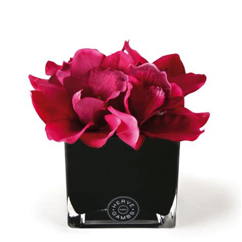 Fuchsia Couture Orchid Black Glass Cube From Herve Gambs Fake