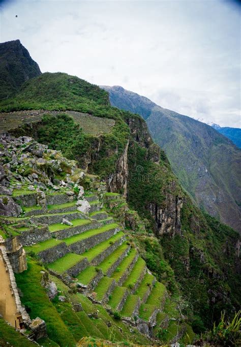 The Terraces Or Agricultural Platforms Of The Inca Empire Machu Picchu