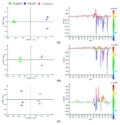 Opls Da Score Plot Left Panel And Corresponding Coefficient Plot