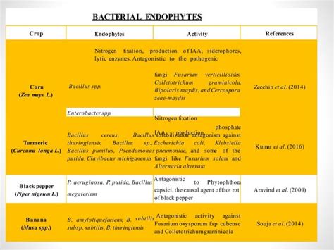 Microbial Endophytes Ppt