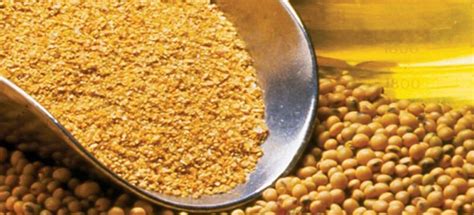 Argentina Expected To Regain First Place In Soy Meal Exports Despite