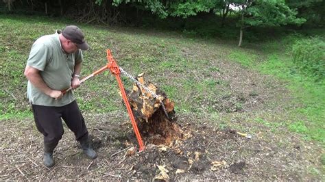 Pulling Up A Large Old Stump With A Farm Jack Youtube