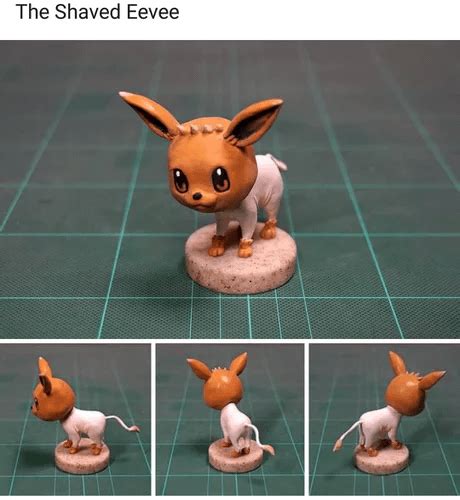 Thanks I Hate Shaved Eevee R Tihi