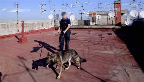 Nella Piazza Di Spaccio Del Rione 219 Arrestati Pusher E Vedette In