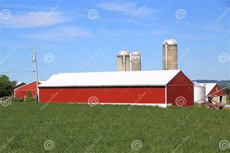 Milk Farm In Finger Lakes Region Upstate New York Editorial Photography Image Of Country