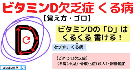 ビタミンd欠乏症・くる病・骨粗鬆症の覚え方・ゴロ【cbt国試対策】 ゴロゴロ医学