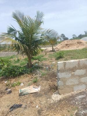 Registered And Well Demarcated Land For Sale At Winneba Road In Gomoa