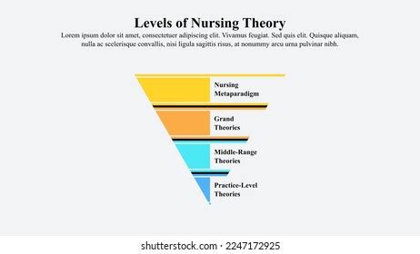 Levels Nursing Theory Infographic Template Stock Vector Royalty Free