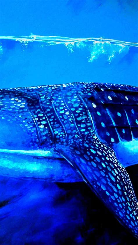 Whale Shark Iphone Blue Whale Hd Phone Wallpaper Pxfuel