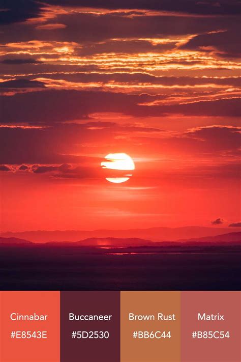 Sunset Color Palette With Hex Codes For You Download Now Artofit