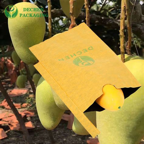 Customised Paper Agriculture Fruit Net Protection Bag Supplier