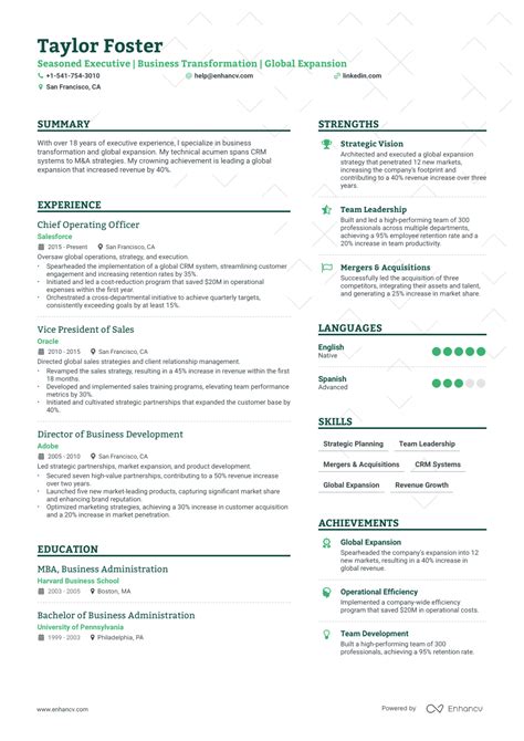 5 Ceo Resume Examples And Guide For 2023