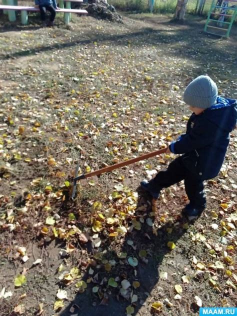 Конспект организации труда в природе «Уборка листьев» в разновозрастной ...