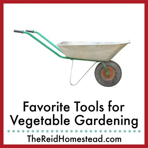 Favorite Tools For Vegetable Gardening