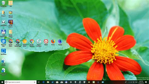 Austin Botanical Garden theme for Windows 10, Windows 8 and Windows 7