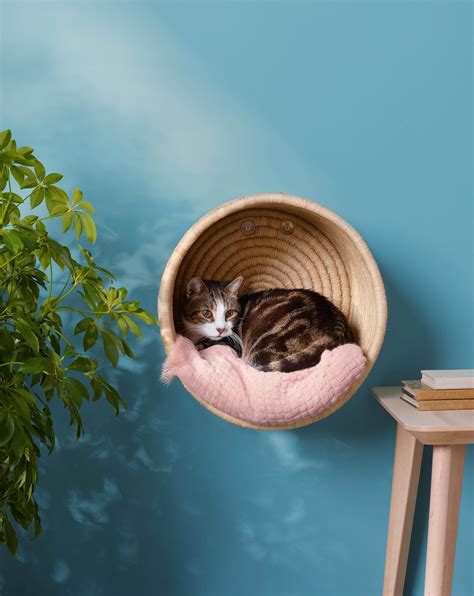 Cat basket – Artofit