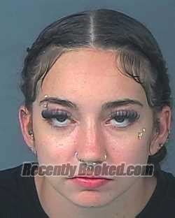 Recent Booking Mugshot For HARLEY ANN MARIE PLOTT In Hernando County