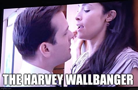 Harvey Wallbanger Imgflip