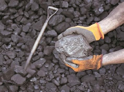 India S Coal Imports Rise To Million Tonnes During Apr Nov