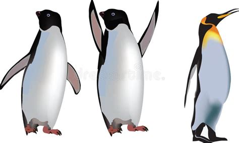 Blooded Penguins Stock Illustrations – 1 Blooded Penguins Stock