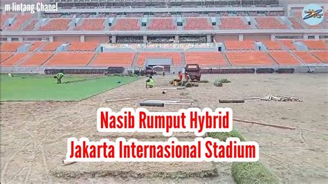 Bongkar Rumput Hybrid Jakarta Internasional Stadium Youtube