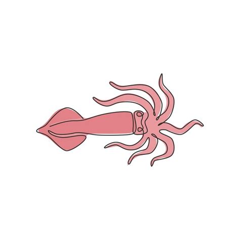 Page 4 | Squid Anatomy Images - Free Download on Freepik