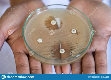 Testes De Droga Da Microbiologia Foto De Stock Imagem De M Dico