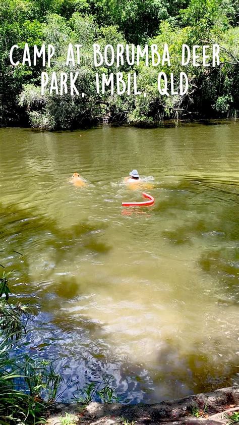 Camp At Borumba Deer Park Imbil Qld