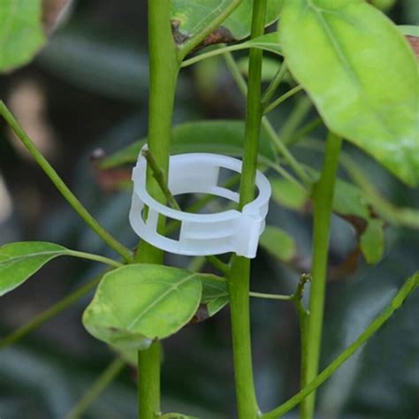 Tuteur Plante Clips En Plastique Pour Plantes Tomate Supports En