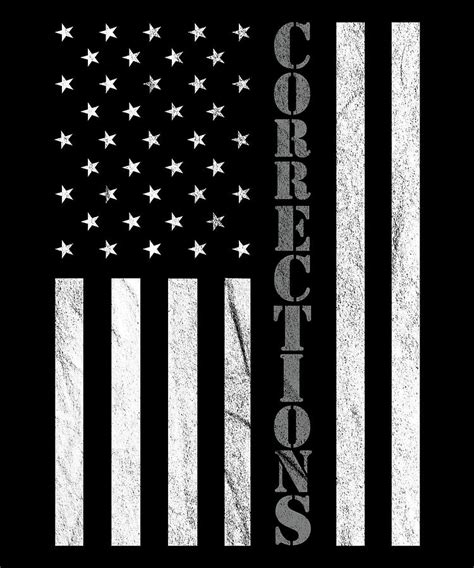 Correctional Officer USA American Flag Thin Gray Line Digital Art By