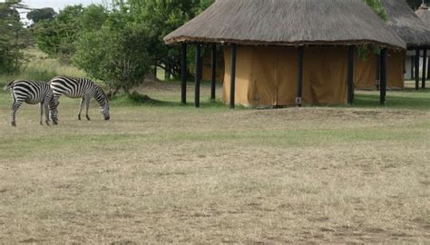 Mara West Huts 7086 Maasai Mara Kenya Glamping Hub