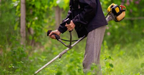 Las Mejores Desbrozadoras Para Los Trabajos De Jardiner A