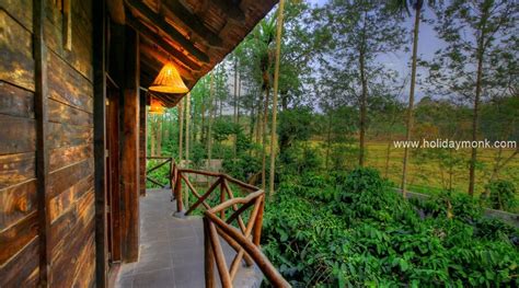 Paddington Resort And Spa Coorg Homestays Resorts In Coorg